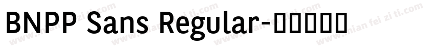 BNPP Sans Regular字体转换